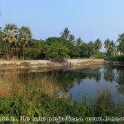 Sundarbans_13