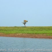 Tanguar_Haor_01