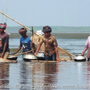 Tanguar_Haor_04