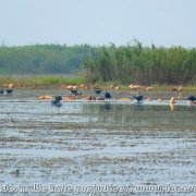 Tanguar_Haor_06