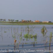 Tanguar_Haor_28