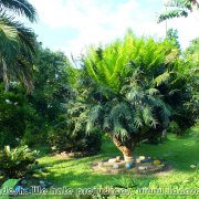 Botanical_Garden_01