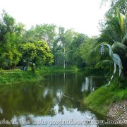 Shahid_Qumruzzaman_Central_Park_02