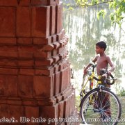 Hatikumrul_Navaratna_Temple_07