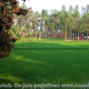 Hatikumrul_Navaratna_Temple_23