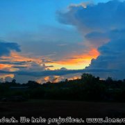 Kaptai_National_Park_5