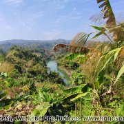 Kaptai_National_Park_6