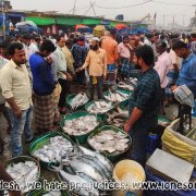 Fish_Market_01