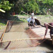 Otter_fishermen_26