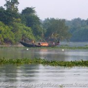 Sundarbans_09