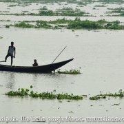Sundarbans_29