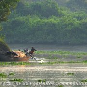 Sundarbans_30